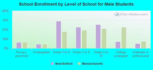 School Enrollment by Level of School for Male Students