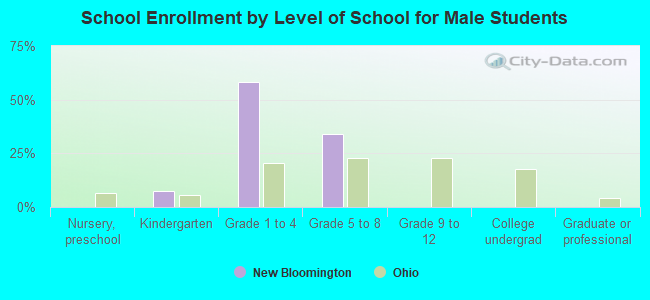 School Enrollment by Level of School for Male Students