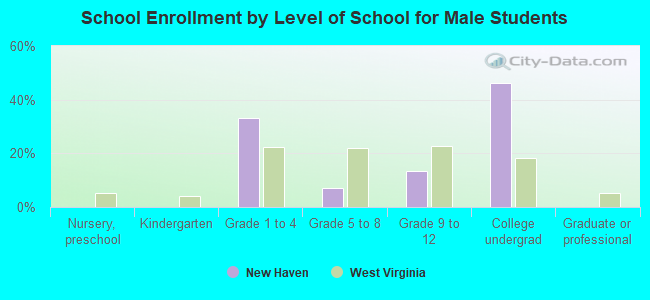 School Enrollment by Level of School for Male Students