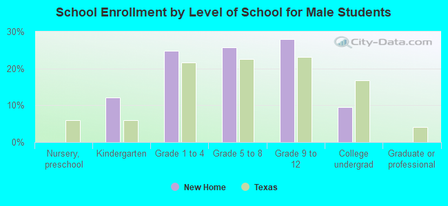 School Enrollment by Level of School for Male Students