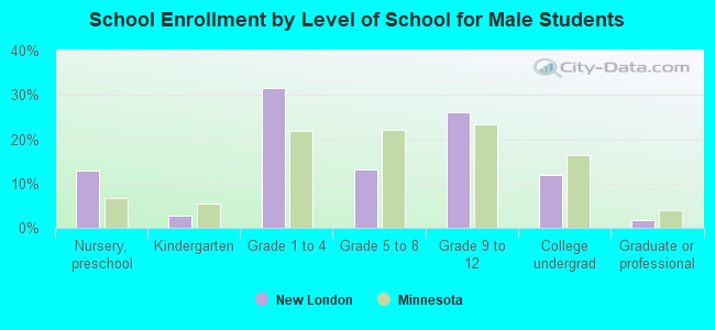 School Enrollment by Level of School for Male Students