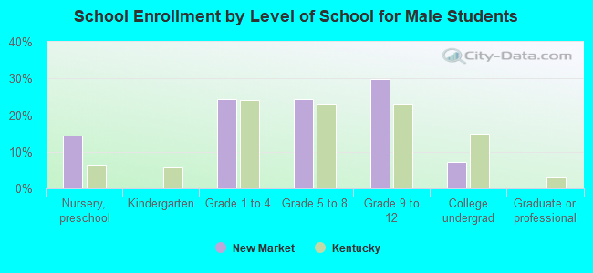 School Enrollment by Level of School for Male Students