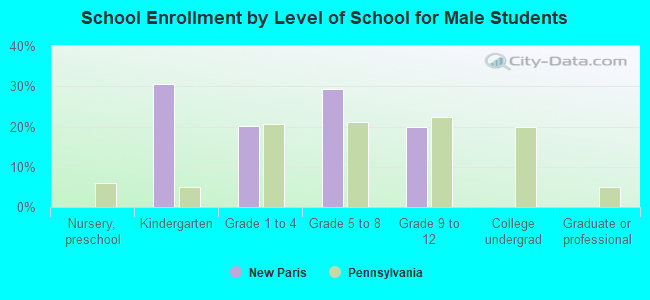 School Enrollment by Level of School for Male Students