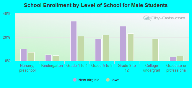 School Enrollment by Level of School for Male Students