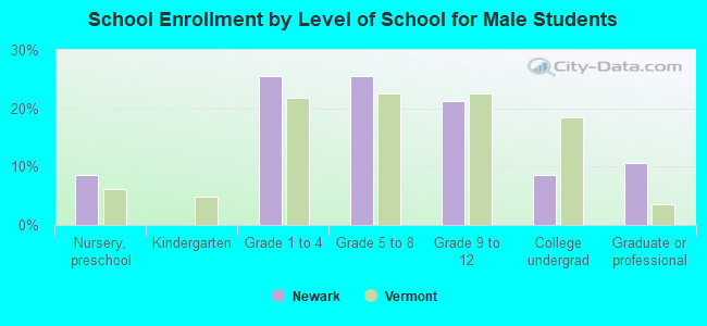 School Enrollment by Level of School for Male Students