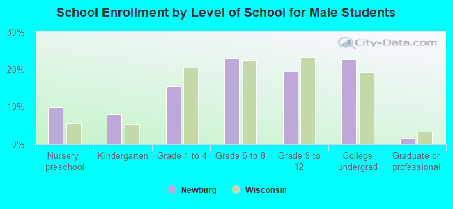 School Enrollment by Level of School for Male Students