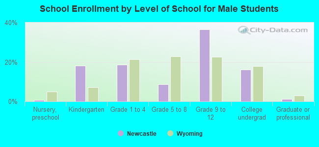 School Enrollment by Level of School for Male Students