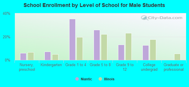 School Enrollment by Level of School for Male Students