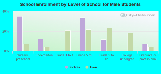 School Enrollment by Level of School for Male Students