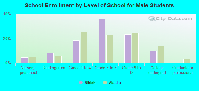 School Enrollment by Level of School for Male Students