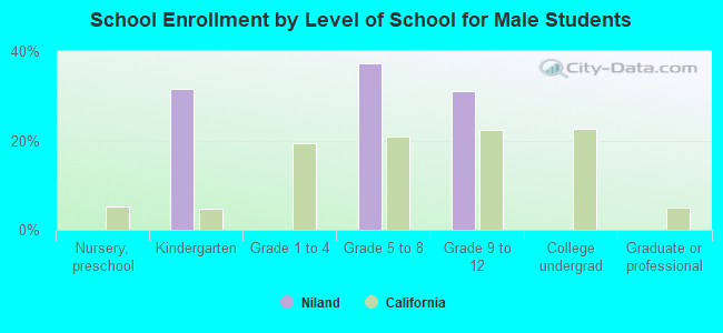 School Enrollment by Level of School for Male Students