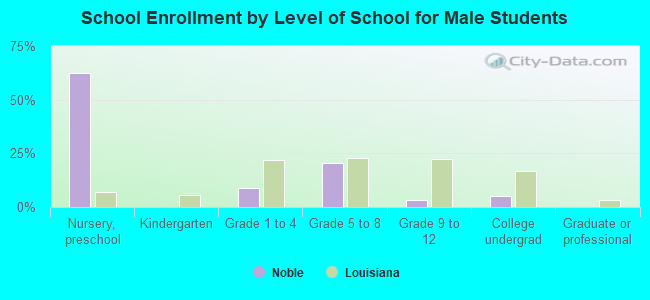 School Enrollment by Level of School for Male Students