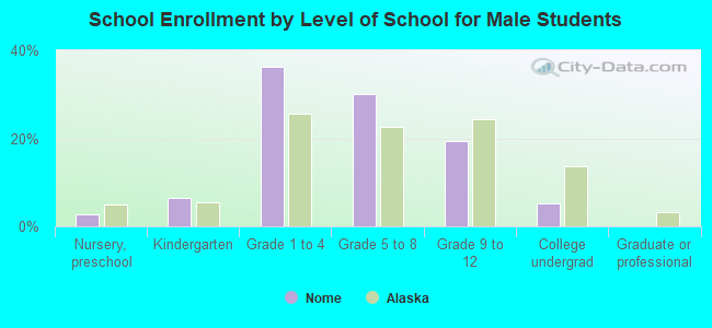 School Enrollment by Level of School for Male Students