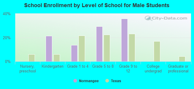 School Enrollment by Level of School for Male Students