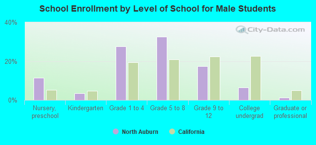 School Enrollment by Level of School for Male Students