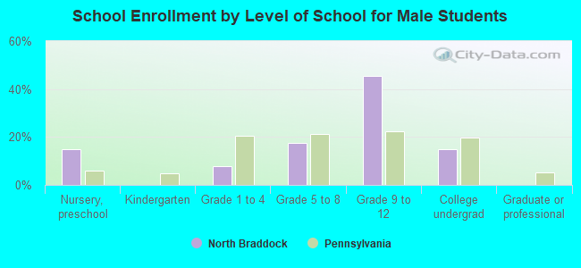 School Enrollment by Level of School for Male Students