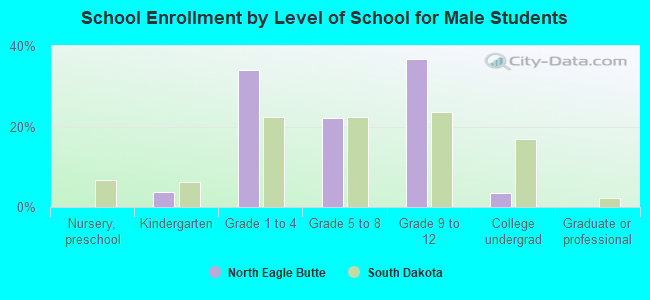 School Enrollment by Level of School for Male Students