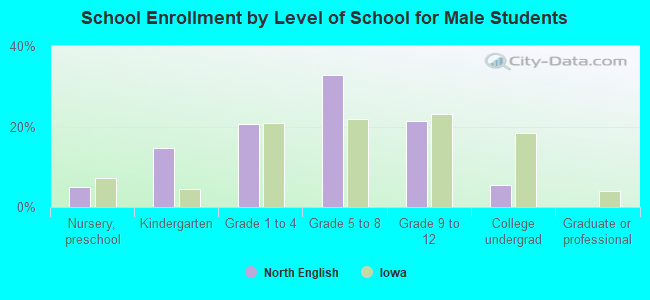 School Enrollment by Level of School for Male Students