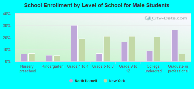 School Enrollment by Level of School for Male Students