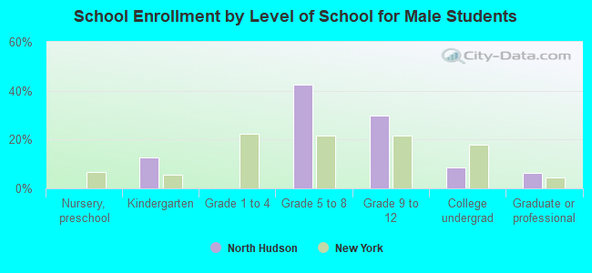 School Enrollment by Level of School for Male Students