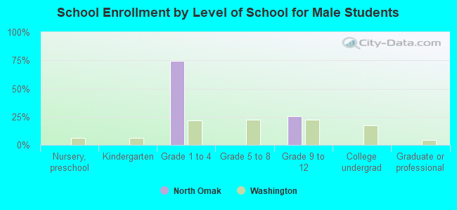 School Enrollment by Level of School for Male Students