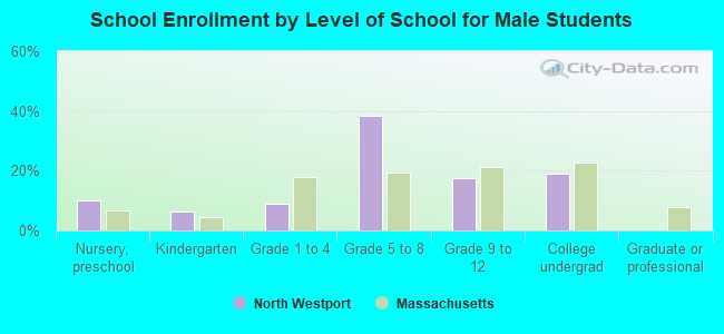 School Enrollment by Level of School for Male Students