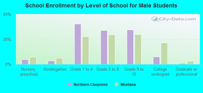 School Enrollment by Level of School for Male Students