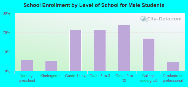 School Enrollment by Level of School for Male Students