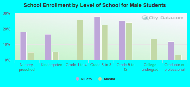 School Enrollment by Level of School for Male Students