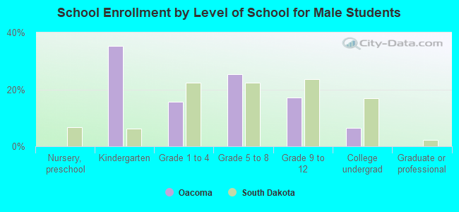 School Enrollment by Level of School for Male Students