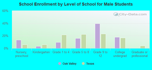 School Enrollment by Level of School for Male Students