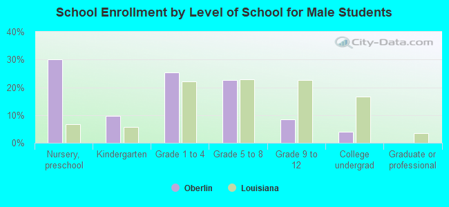 School Enrollment by Level of School for Male Students