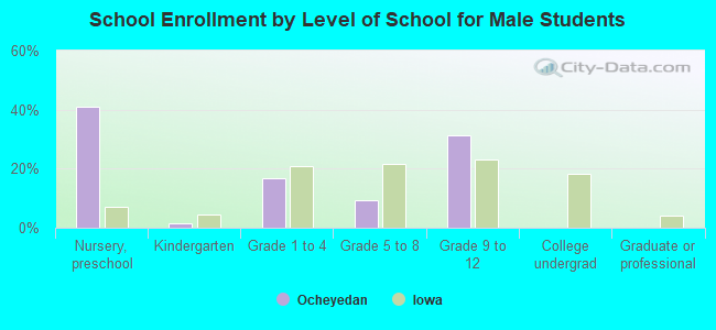 School Enrollment by Level of School for Male Students