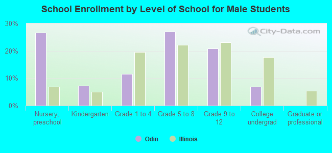 School Enrollment by Level of School for Male Students