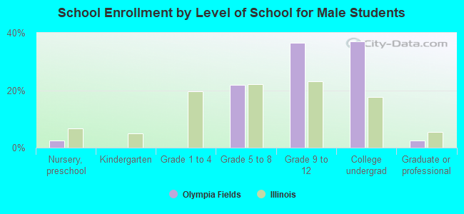 School Enrollment by Level of School for Male Students