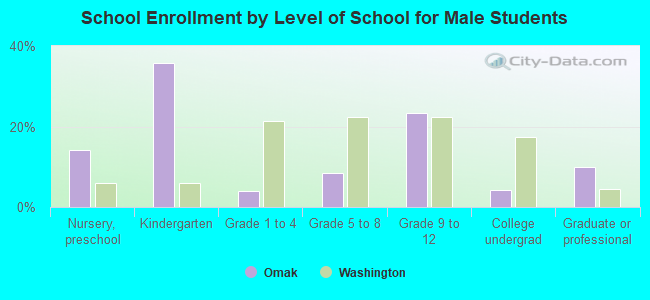 School Enrollment by Level of School for Male Students