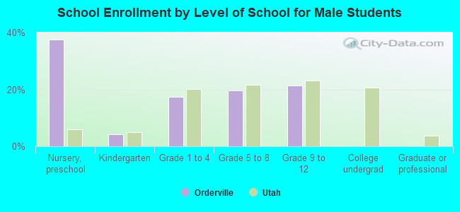 School Enrollment by Level of School for Male Students