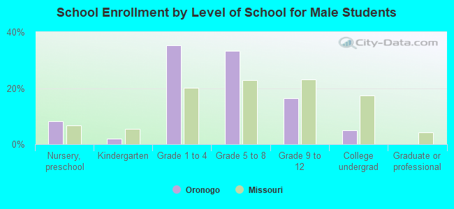 School Enrollment by Level of School for Male Students