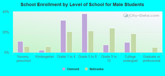 School Enrollment by Level of School for Male Students