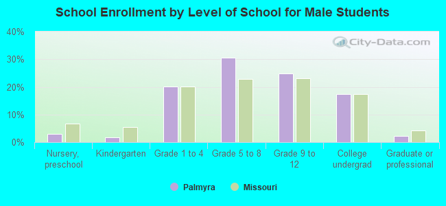 School Enrollment by Level of School for Male Students