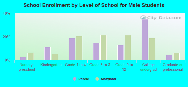 School Enrollment by Level of School for Male Students