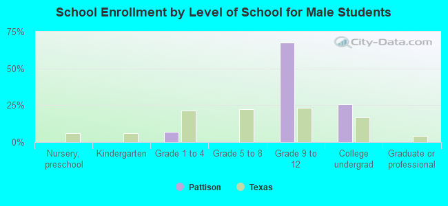 School Enrollment by Level of School for Male Students