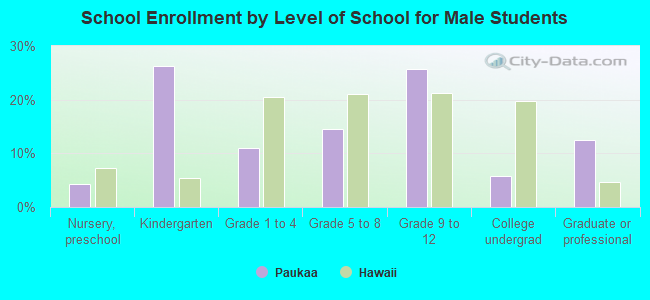 School Enrollment by Level of School for Male Students