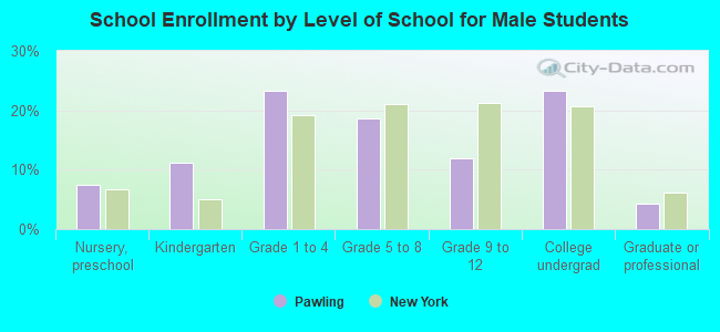 School Enrollment by Level of School for Male Students