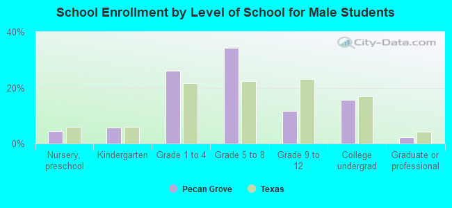 School Enrollment by Level of School for Male Students