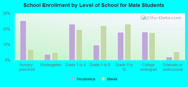 School Enrollment by Level of School for Male Students