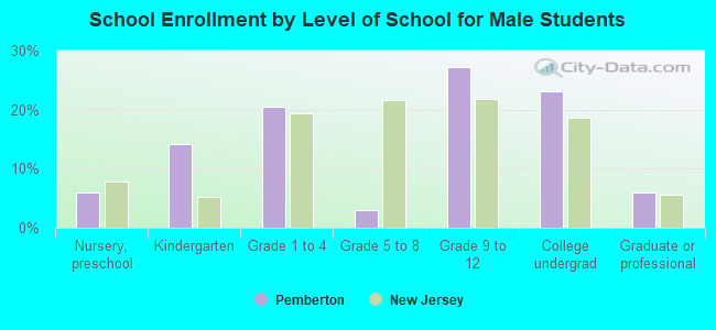 School Enrollment by Level of School for Male Students