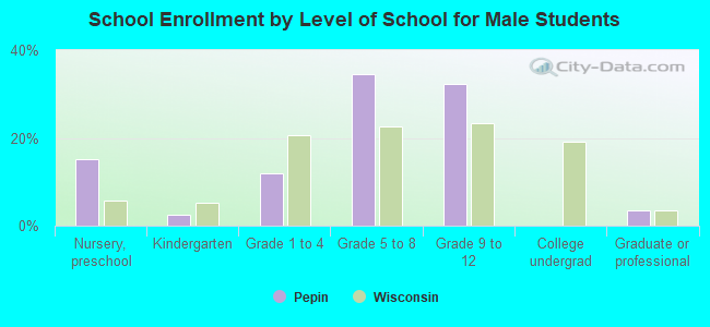 School Enrollment by Level of School for Male Students