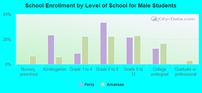 School Enrollment by Level of School for Male Students