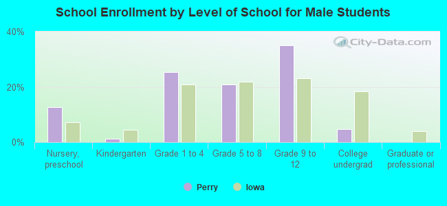 School Enrollment by Level of School for Male Students